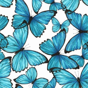 Meet your Posher, Jaylen